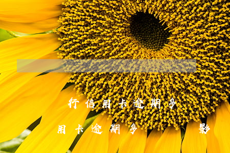 銀行信用卡逾期多長時間影響征信-銀行信用卡逾期多長時間影響征信報告
