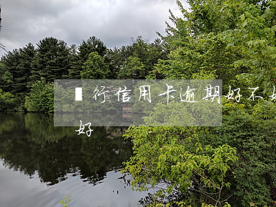 銀行信用卡逾期好不好(銀行信用卡逾期好不好)