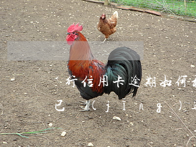 銀行信用卡逾期如何和銀行協(xié)商(已經(jīng)逾期的信用卡,該如何與銀行協(xié)商暫緩還款)