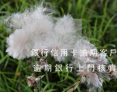 銀行信用卡逾期客戶核實(shí)(信用卡逾期銀行上門核實(shí)情況說明)