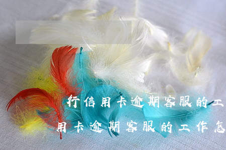 銀行信用卡逾期客服的工作怎么樣-銀行信用卡逾期客服的工作怎么樣啊
