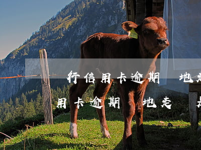 銀行信用卡逾期實地走訪是真的嗎-銀行信用卡逾期實地走訪是真的嗎嗎