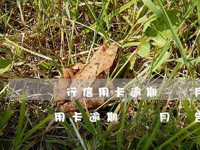 銀行信用卡逾期幾個月會告上法庭-銀行信用卡逾期幾個月會告上法庭嗎