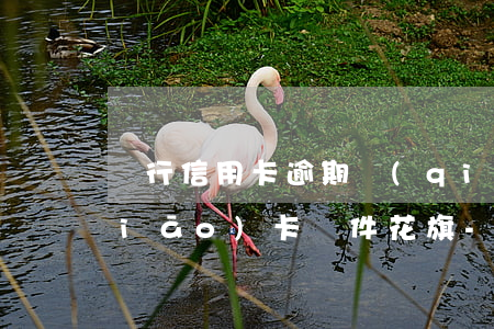 銀行信用卡逾期強(qiáng)制銷(xiāo)卡條件花旗-因逾期被銀行強(qiáng)制銷(xiāo)卡
