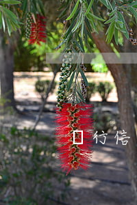 銀行信用卡逾期怎么協(xié)商分期
