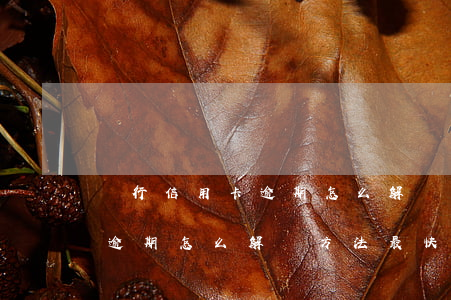 銀行信用卡逾期怎么解決方法-銀行信用卡逾期怎么解決方法最快