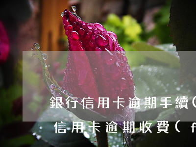 銀行信用卡逾期手續(xù)費(fèi)(信用卡逾期收費(fèi)標(biāo)準(zhǔn))