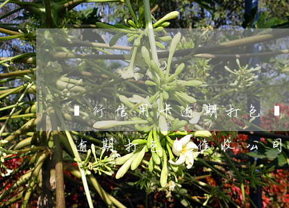 銀行信用卡逾期打包給催收公司(銀行信用卡逾期打包給催收公司合法嗎)