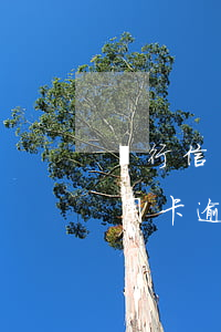銀行信用卡逾期是按日息還是月息-銀行信用卡逾期是按日息還是月息算