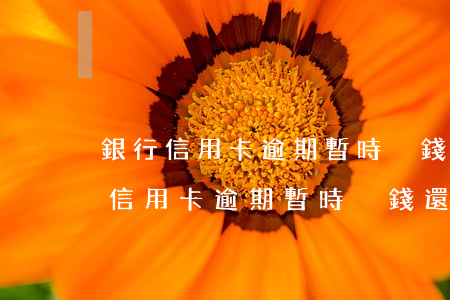 銀行信用卡逾期暫時沒錢還怎么解決-銀行信用卡逾期暫時沒錢還怎么解決呢