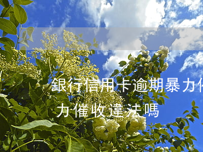 銀行信用卡逾期暴力催收 銀行信用卡逾期暴力催收違法嗎