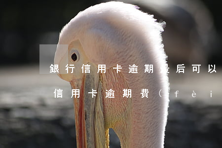 銀行信用卡逾期最后可以減免嗎(怎樣和銀行信用卡逾期費(fèi)用減免)
