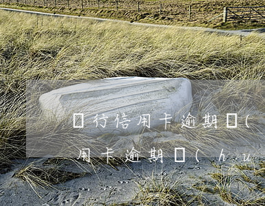 銀行信用卡逾期會(huì)備案嗎(銀行信用卡逾期會(huì)備案嗎)