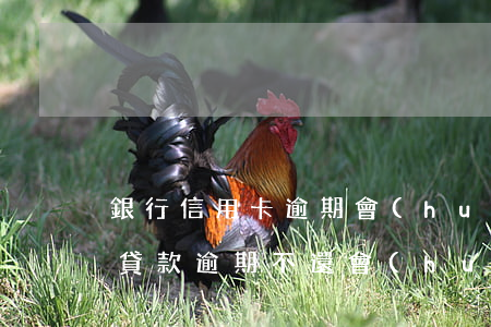 銀行信用卡逾期會(huì)坐牢么(信用卡貸款逾期不還會(huì)不會(huì)坐牢)