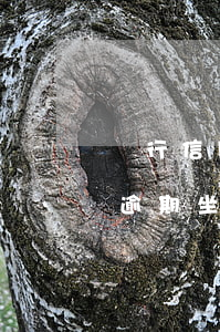 銀行信用卡逾期會(huì)坐牢 有信用卡逾期坐牢的案例嗎