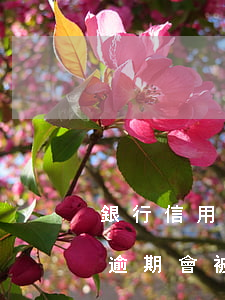 銀行信用卡逾期會被加入失信名單(欠信用卡逾期會被凍結(jié)所有資產(chǎn)嗎)