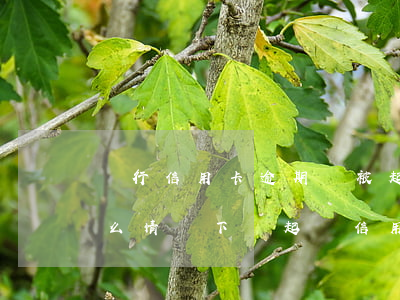 銀行信用卡逾期會被起訴嗎怎么辦 銀行在什么情況下會起訴信用卡逾期人員