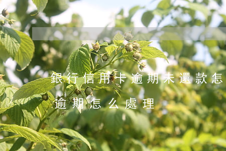 銀行信用卡逾期未還款怎么辦(欠銀行信用卡逾期怎么處理)