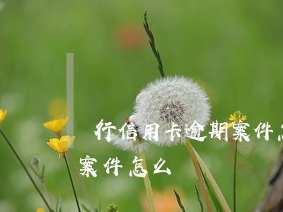 銀行信用卡逾期案件怎么辦(銀行信用卡逾期案件怎么辦)