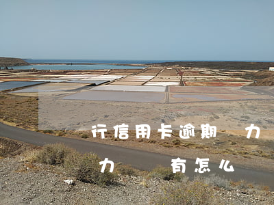 銀行信用卡逾期無力償還怎么辦(信用卡逾期無力償還有怎么辦)