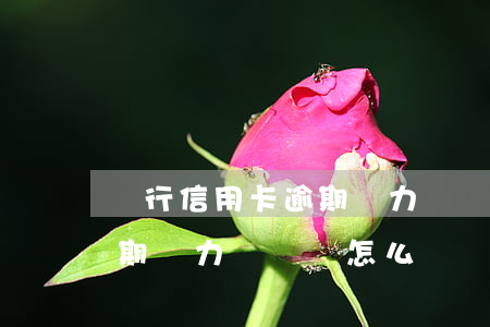 銀行信用卡逾期無力償還會怎么樣(信用貸逾期無力償還會怎么樣)