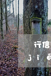 銀行信用卡逾期發(fā)彩信上征信 節(jié)假日信用卡逾期會上征信嗎