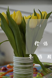 銀行信用卡逾期的利息是否合法-2021年信用卡逾期后銀行收取罰息