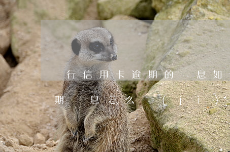 銀行信用卡逾期的罰息如何計(jì)算 逾期罰息怎么計(jì)算