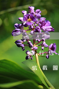 銀行信用卡逾期短信截圖 銀行信用卡逾期短信截圖真實(shí)