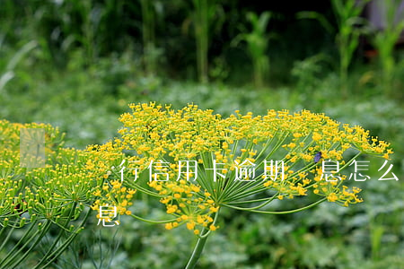銀行信用卡逾期罰息怎么算的(信用卡 逾期 罰息)