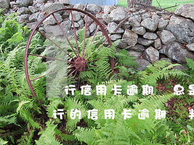 銀行信用卡逾期罰息是否合規(guī)(銀行的信用卡逾期會判刑嗎)