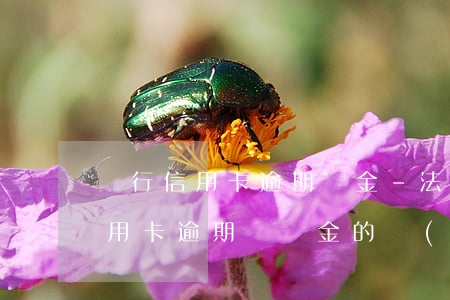 銀行信用卡逾期罰金-法律對(duì)信用卡逾期違約金的規(guī)定