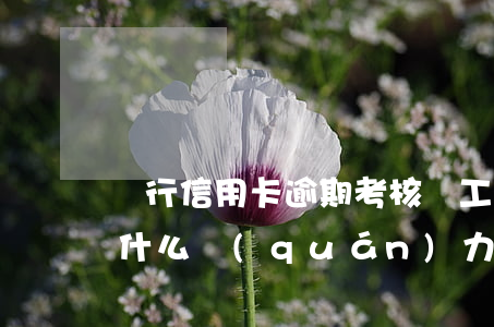 銀行信用卡逾期考核員工(信用卡逾期專員有什么權(quán)力)