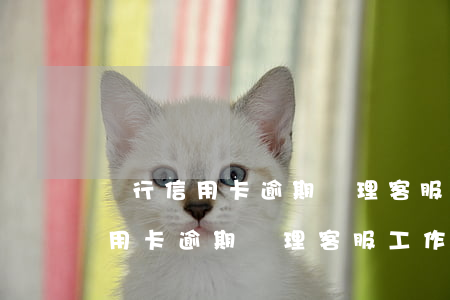 銀行信用卡逾期處理客服工作如何-銀行信用卡逾期處理客服工作如何做