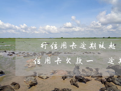 銀行信用卡逾期被起訴欠銀行一萬多怎么辦(信用卡欠款一萬逾期多久會(huì)被起訴)