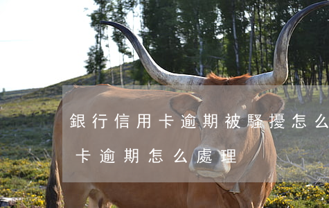 銀行信用卡逾期被騷擾怎么辦-銀行對信用卡逾期怎么處理