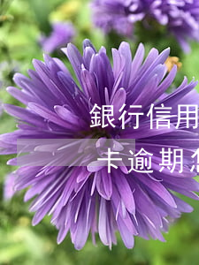 銀行信用卡逾期要起訴怎么還款(欠銀行信用卡逾期怎么處理)