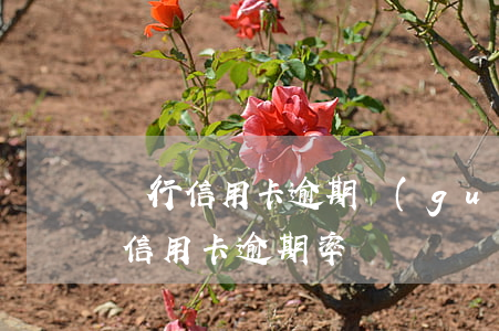 銀行信用卡逾期規(guī)模大嗎(各銀行信用卡逾期率)