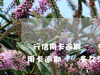 銀行信用卡逾期記錄多久消除一次-銀行信用卡逾期記錄多久消除一次啊