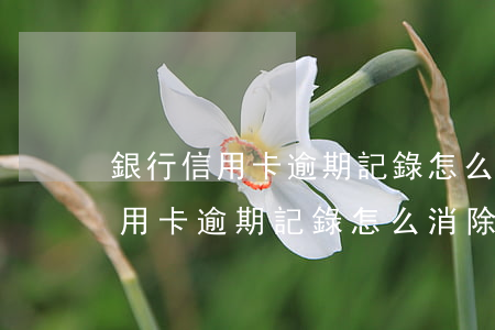 銀行信用卡逾期記錄怎么消除光大-銀行信用卡逾期記錄怎么消除光大信用