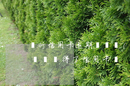 銀行信用卡逾期記錄會(huì)消失(逾期記錄辦得了信用卡嗎)