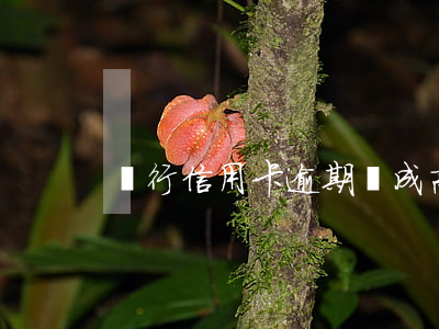 銀行信用卡逾期變成高利貸 高利貸逾期利息