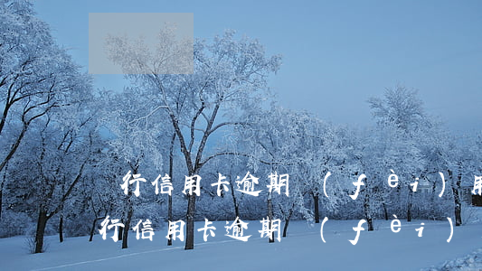 銀行信用卡逾期費(fèi)用怎么算-銀行信用卡逾期費(fèi)用怎么算的