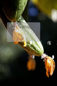 銀行信用卡逾期起訴多久開(kāi)庭(今年新規(guī)定信用卡逾期多久會(huì)起訴)