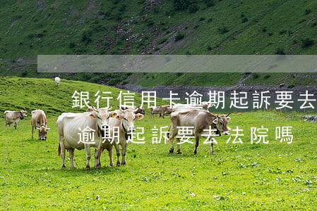 銀行信用卡逾期起訴要去法院嗎(銀行信用卡逾期起訴要去法院嗎) 銀行信用卡逾期起訴要去法院嗎(銀行信用卡逾期起訴要去法院嗎)