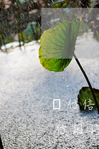 銀行信用卡逾期起訴開庭協(xié)商(銀行因信用卡起訴我民事糾紛)