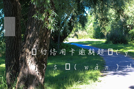 銀行信用卡逾期超過(guò)五萬(wàn)(5萬(wàn)以下信用卡逾期銀行一般怎么處理)