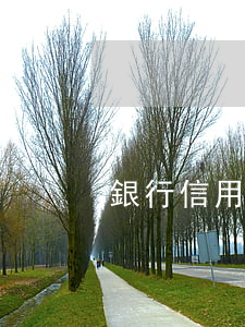 銀行信用卡逾期跟客服吵架