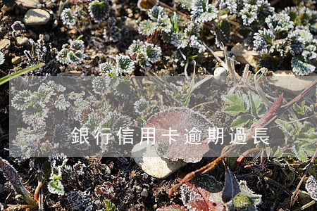 銀行信用卡逾期過長