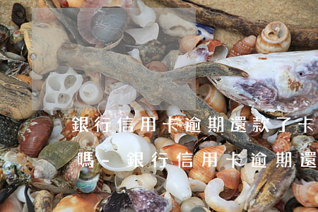 銀行信用卡逾期還款了卡會凍結(jié)嗎-銀行信用卡逾期還款了卡會凍結(jié)嗎怎么辦